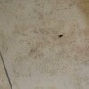 https://cdn-ostrovok-ru-ion.test.edgekey.net/t/100x100/hotel_review/4a/cd/4acd8158e16592100992c0abcce21c631e49b1ac.JPEG