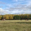 https://cdn-ostrovok-ru-ion.test.edgekey.net/t/100x100/hotel_review/4a/d4/4ad46730143ff74edfbd10b3045366a1f3e01bef.jpeg