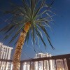 https://cdn-ostrovok-ru-ion.test.edgekey.net/t/100x100/hotel_review/4b/43/4b436452ae8ebb4ba6ee1f107f80e27fc6a39706.JPEG