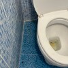 https://cdn-ostrovok-ru-ion.test.edgekey.net/t/100x100/hotel_review/4b/e1/4be12fb00dcd6d350a9ae5e8f2de1378f7eb787d.JPEG