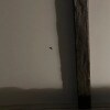 https://cdn-ostrovok-ru-ion.test.edgekey.net/t/100x100/hotel_review/4b/f0/4bf0020d862fd9dec52f0940524cc9947754c8da.JPEG