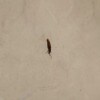 https://cdn-ostrovok-ru-ion.test.edgekey.net/t/100x100/hotel_review/4c/2d/4c2d003e619282774f9a0ee93f856027eddd15d4.jpeg