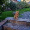 https://cdn-ostrovok-ru-ion.test.edgekey.net/t/100x100/hotel_review/4c/2e/4c2e9e7f810e25325f7b7085e2c51cb056eda781.JPEG