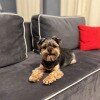 https://cdn-ostrovok-ru-ion.test.edgekey.net/t/100x100/hotel_review/4c/4c/4c4ca4992258b10dd768fdecb8c98a9d383d818c.JPEG