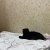 https://cdn-ostrovok-ru-ion.test.edgekey.net/t/100x100/hotel_review/4c/b1/4cb1620a902057053c302e5fe8bcb58999dca96c.jpeg