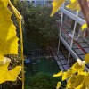 https://cdn-ostrovok-ru-ion.test.edgekey.net/t/100x100/hotel_review/4c/ba/4cba46110196507455f031a51e876b97d3ff2d84.JPEG