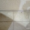 https://cdn-ostrovok-ru-ion.test.edgekey.net/t/100x100/hotel_review/4c/f7/4cf7b44e952d05a5389ad08ed477df86e37ef17a.JPEG