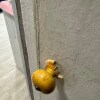 https://cdn-ostrovok-ru-ion.test.edgekey.net/t/100x100/hotel_review/4d/3f/4d3f617081d349d4a72e4120b3dde28d051a3edf.JPEG