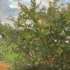 https://cdn-ostrovok-ru-ion.test.edgekey.net/t/100x100/hotel_review/4d/42/4d420812f1b908cc2eb98d15d2fbec8ad3b4d5e8.JPEG