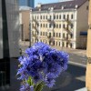 https://cdn-ostrovok-ru-ion.test.edgekey.net/t/100x100/hotel_review/4d/65/4d6551e8282783d07e3bce2ec02bf332b36ba405.JPEG