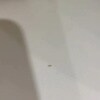 https://cdn-ostrovok-ru-ion.test.edgekey.net/t/100x100/hotel_review/4d/a3/4da398c61198736f170bbce63bcea17538d765c0.JPEG