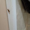 https://cdn-ostrovok-ru-ion.test.edgekey.net/t/100x100/hotel_review/4d/b2/4db2cad00792c4310d1cab3925a8a4aecbd435be.JPEG
