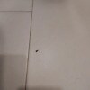 https://cdn-ostrovok-ru-ion.test.edgekey.net/t/100x100/hotel_review/4d/bb/4dbb6e42f1ce73abb835c8039fdfb5c733ce82f1.JPEG