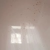 https://cdn-ostrovok-ru-ion.test.edgekey.net/t/100x100/hotel_review/4d/cc/4dcc6aaef8fdcb9d2677d0d3acdf1e42e8d34158.JPEG