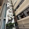 https://cdn-ostrovok-ru-ion.test.edgekey.net/t/100x100/hotel_review/4e/16/4e160e9a6a28a548eace324ec1124e1fc12ff92c.JPEG