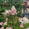 https://cdn-ostrovok-ru-ion.test.edgekey.net/t/100x100/hotel_review/4e/16/4e16bb48265dc00fe2f57448c5edcdf9d4978b7b.JPEG