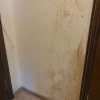 https://cdn-ostrovok-ru-ion.test.edgekey.net/t/100x100/hotel_review/4e/37/4e378989aeee262b6ea23152fa871566f02245d8.JPEG
