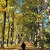 https://cdn-ostrovok-ru-ion.test.edgekey.net/t/100x100/hotel_review/4e/57/4e57c7d413f0df190afb63bedf29d3cc0fa66363.JPEG