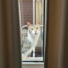 https://cdn-ostrovok-ru-ion.test.edgekey.net/t/100x100/hotel_review/4e/5a/4e5aa5e9328e57658fa614f623ff37fbdce50c56.JPEG