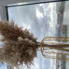 https://cdn-ostrovok-ru-ion.test.edgekey.net/t/100x100/hotel_review/4e/ae/4eae446708ccd7a34be534164f066e8a25236ea5.JPEG