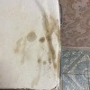 https://cdn-ostrovok-ru-ion.test.edgekey.net/t/100x100/hotel_review/4e/bb/4ebb76aa0c09b695ab51f676af3fdcf824cbc0e1.JPEG