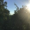 https://cdn-ostrovok-ru-ion.test.edgekey.net/t/100x100/hotel_review/4e/d3/4ed3dddcbd1791e00be9517fbd4c6314b930e3cb.JPEG
