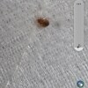 https://cdn-ostrovok-ru-ion.test.edgekey.net/t/100x100/hotel_review/4e/fe/4efe56e917f4e985d1240f9df741c6cc6313c58c.JPEG