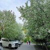 https://cdn-ostrovok-ru-ion.test.edgekey.net/t/100x100/hotel_review/4f/3f/4f3f3bcde11006c162dc1414dd8b0d3b6c276a5c.jpeg
