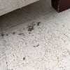 https://cdn-ostrovok-ru-ion.test.edgekey.net/t/100x100/hotel_review/4f/56/4f560893101f0b73ae6c083fc253c9b34e889246.jpeg