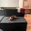 https://cdn-ostrovok-ru-ion.test.edgekey.net/t/100x100/hotel_review/4f/72/4f72dcc5f19260bbe035969fbceb0ec6e61126cb.JPEG