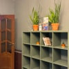 https://cdn-ostrovok-ru-ion.test.edgekey.net/t/100x100/hotel_review/4f/a0/4fa0ee38bef65bf2851d332f560388e3a1d5f9a8.JPEG