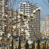 https://cdn-ostrovok-ru-ion.test.edgekey.net/t/100x100/hotel_review/4f/b1/4fb18cc593290d621904753f4c57fac9dba81bfc.JPEG