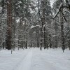 https://cdn-ostrovok-ru-ion.test.edgekey.net/t/100x100/hotel_review/50/00/50005fba1f72533d17866def0a888863523ea334.JPEG