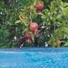 https://cdn-ostrovok-ru-ion.test.edgekey.net/t/100x100/hotel_review/50/1c/501cd5be7e696d80d1e7be740df72534c588a070.JPEG