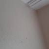https://cdn-ostrovok-ru-ion.test.edgekey.net/t/100x100/hotel_review/50/34/50345128770d385ed64f1af581de92fae01bcf20.JPEG