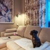 https://cdn-ostrovok-ru-ion.test.edgekey.net/t/100x100/hotel_review/50/74/5074dc21a630eeed84f1db2d436b19d487c44dcb.JPEG
