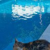 https://cdn-ostrovok-ru-ion.test.edgekey.net/t/100x100/hotel_review/50/7c/507cffff3fff392cec6800465092853b4105595a.JPEG