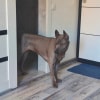 https://cdn-ostrovok-ru-ion.test.edgekey.net/t/100x100/hotel_review/50/a9/50a901e55c2af4d71397a6908d9e635866a2c476.JPEG