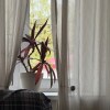 https://cdn-ostrovok-ru-ion.test.edgekey.net/t/100x100/hotel_review/51/37/5137a1e8ba8ba85c7ef6a88a725bf73f000ea170.JPEG