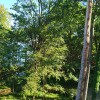 https://cdn-ostrovok-ru-ion.test.edgekey.net/t/100x100/hotel_review/51/5f/515f896e38a14616104597094044bf2c0f9e1dd5.JPEG