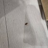 https://cdn-ostrovok-ru-ion.test.edgekey.net/t/100x100/hotel_review/51/be/51be50da787033c7deeafc44c1d03b2373568d6d.JPEG