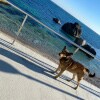 https://cdn-ostrovok-ru-ion.test.edgekey.net/t/100x100/hotel_review/52/0a/520a74c4fe19243727753e8687818c01b2bd79b4.JPEG