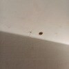 https://cdn-ostrovok-ru-ion.test.edgekey.net/t/100x100/hotel_review/52/2d/522d40415fdbea36da4d93fd7e5fc393d051fe7f.jpeg