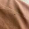 https://cdn-ostrovok-ru-ion.test.edgekey.net/t/100x100/hotel_review/52/39/5239edf80cc50c4b6caffc19736845909224f7a4.png