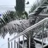https://cdn-ostrovok-ru-ion.test.edgekey.net/t/100x100/hotel_review/52/66/5266c29953caf34c4fdd1046dc9756de20a40113.JPEG