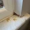 https://cdn-ostrovok-ru-ion.test.edgekey.net/t/100x100/hotel_review/52/d2/52d2645a647b54dd0bcd52e84b7f64e5bf42dd09.JPEG