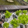 https://cdn-ostrovok-ru-ion.test.edgekey.net/t/100x100/hotel_review/52/f7/52f70d2f79312d36e32d11a524673f65f6aef565.JPEG