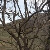 https://cdn-ostrovok-ru-ion.test.edgekey.net/t/100x100/hotel_review/52/zz/52ad25106b7dd799e65a0fe81f3e5811742b4a7c.JPEG