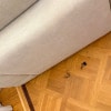 https://cdn-ostrovok-ru-ion.test.edgekey.net/t/100x100/hotel_review/53/07/530738dc421eaef98998ff235ca2f5bbf797479f.JPEG