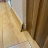 https://cdn-ostrovok-ru-ion.test.edgekey.net/t/100x100/hotel_review/53/08/5308d7bc9be50e7e1aaae14f421583da5ac5b436.JPEG